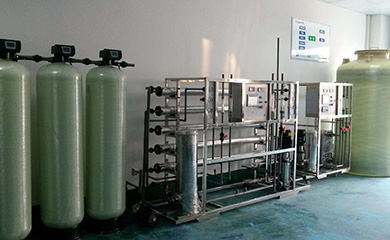 電去離子系統的作用是精除鹽。在使用RO滲透水脫除97～99%離子的前提下，EDI可直接將反滲透產水提純到純水、高純水、超純水的標準，而無需使用離子交換混床，其產水的電阻率最高可達18MΩ·cm。